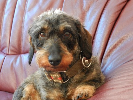 Tante Veer v.h Huys Ringh de Vries