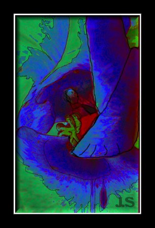 Vertrapte (kinder) ziel